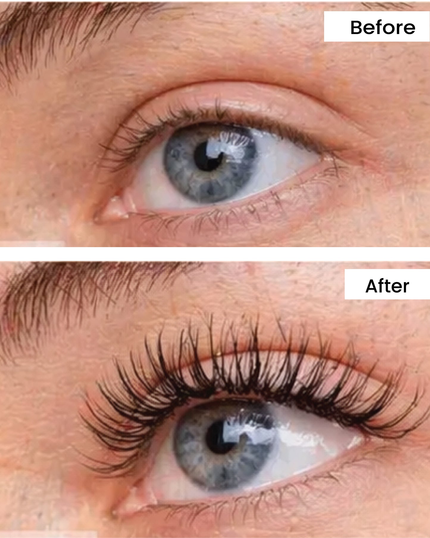 Élite Lashlift Set