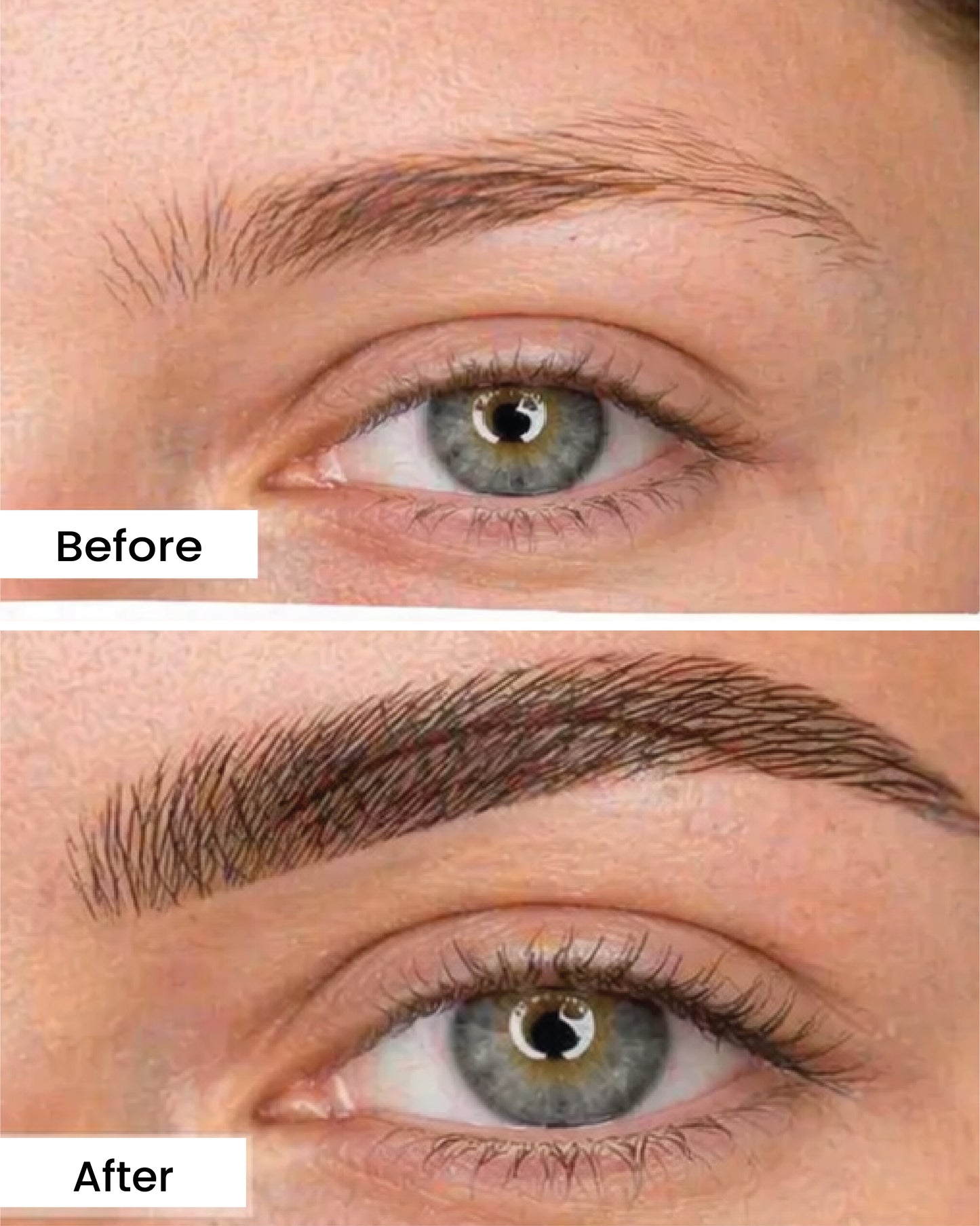 Élite Brow Lamination Kit