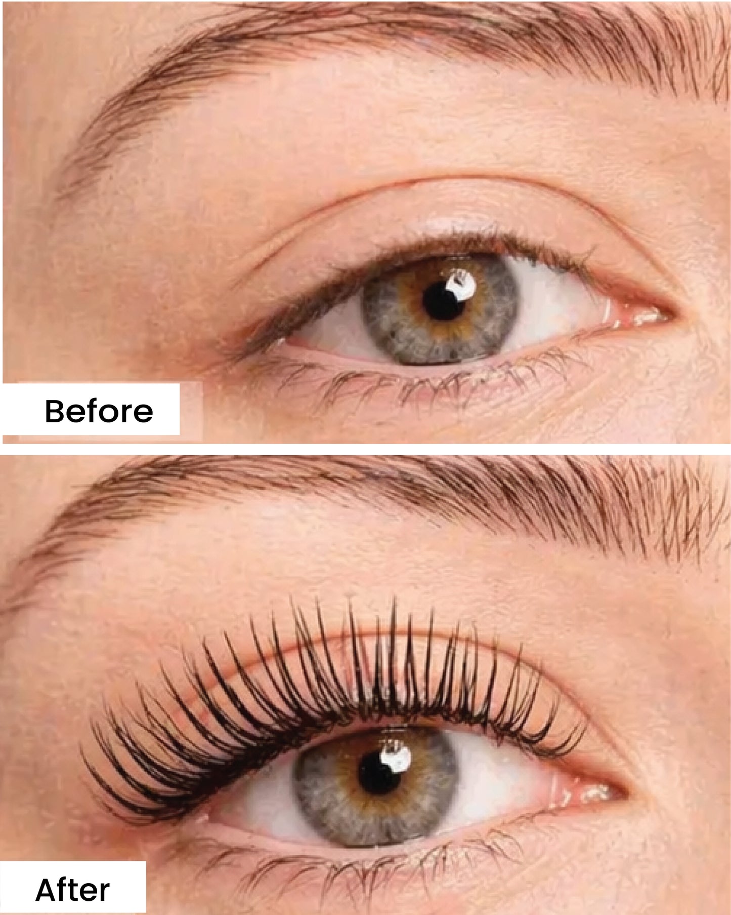 Élite Lashlift Set