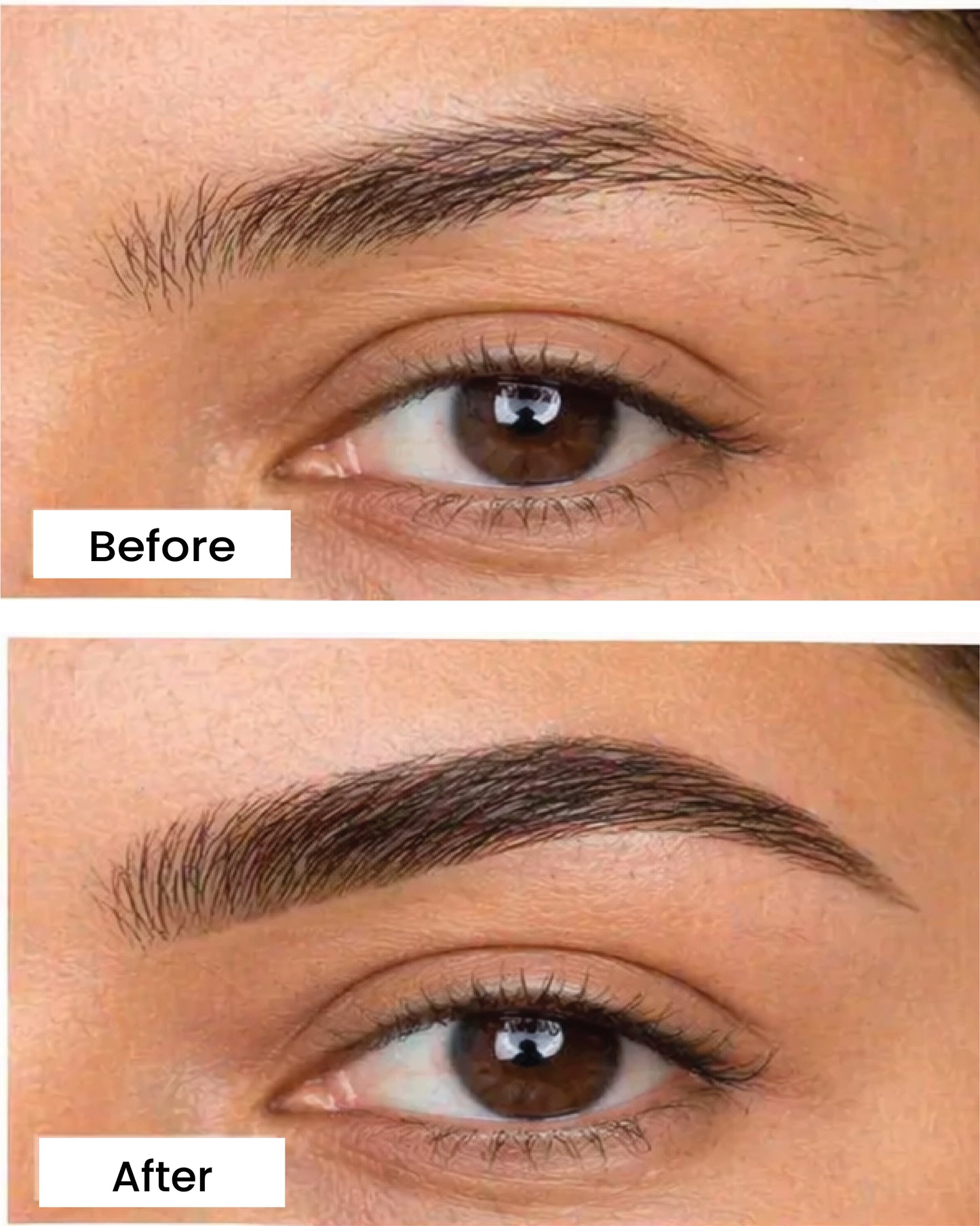 Élite Brow Lamination Kit